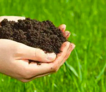 肥料的肥料检测标准是怎么样的
